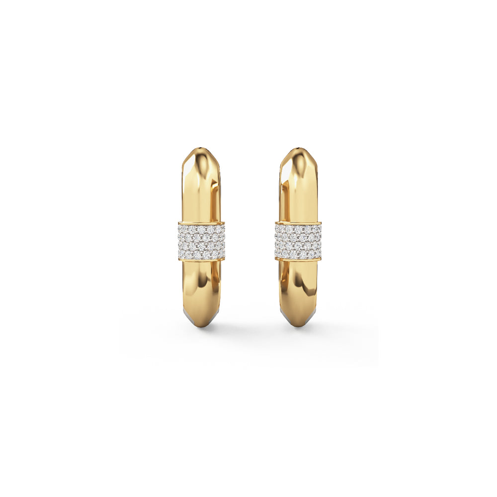Vice Carabiner Hoop Earrings