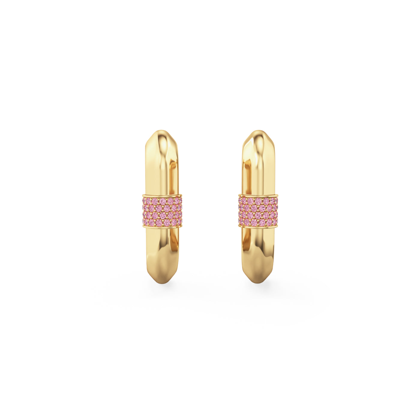 Vice Carabiner Hoop Earrings