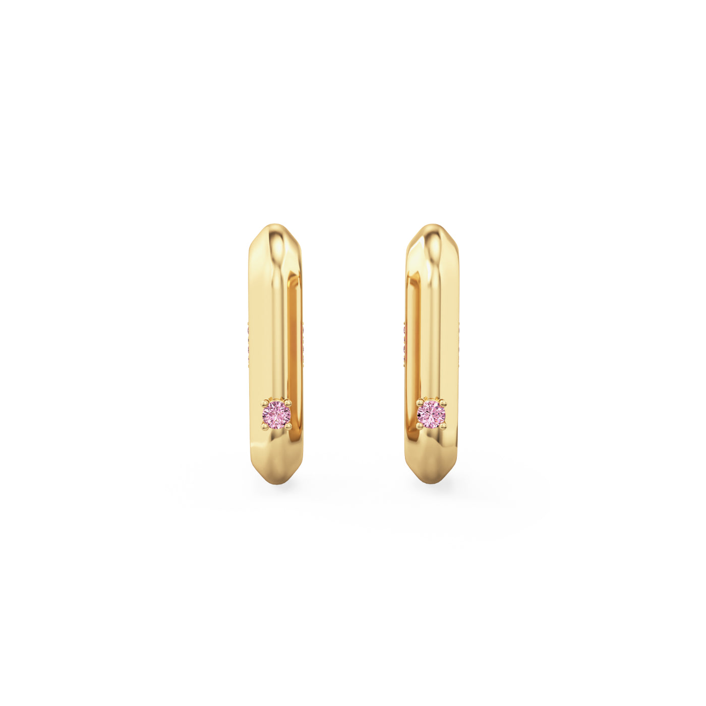 Vice Carabiner Hoop Earrings
