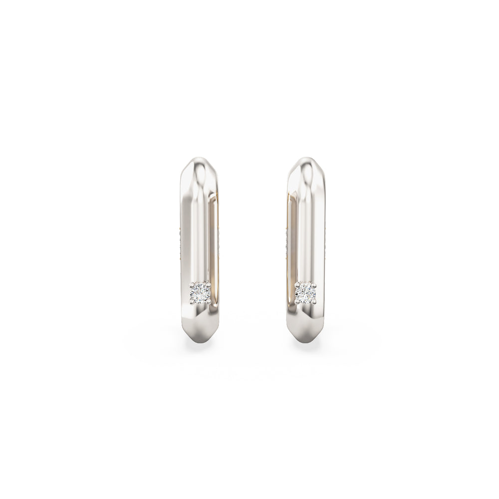 Vice Carabiner Hoop Earrings
