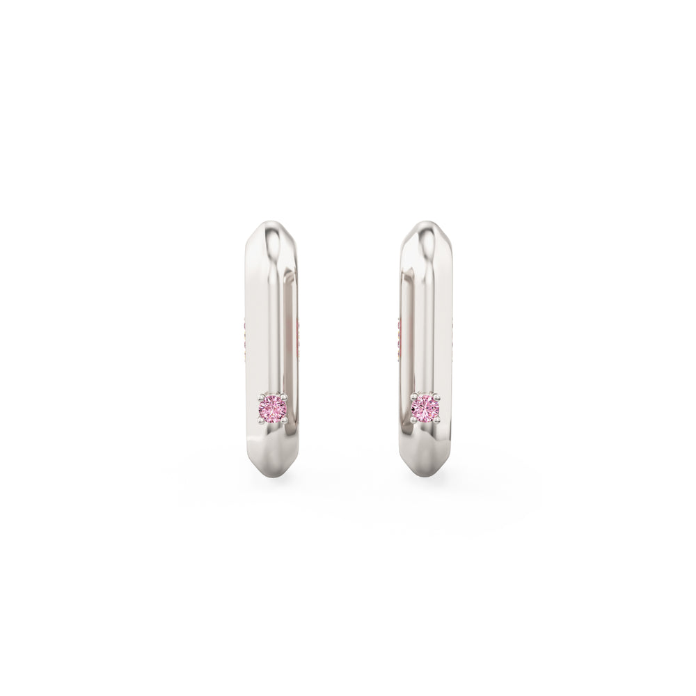 Vice Carabiner Hoop Earrings