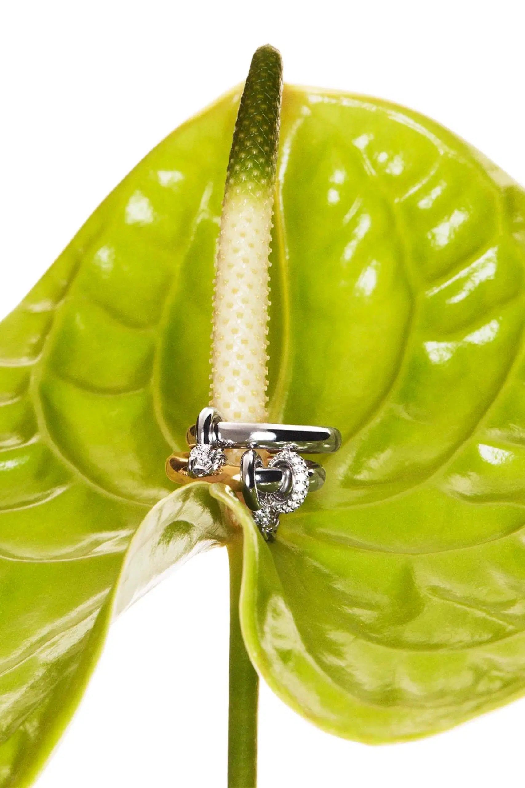 SHOP RINGS